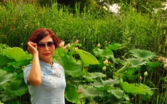 伊人影院蕉久影院直播福利